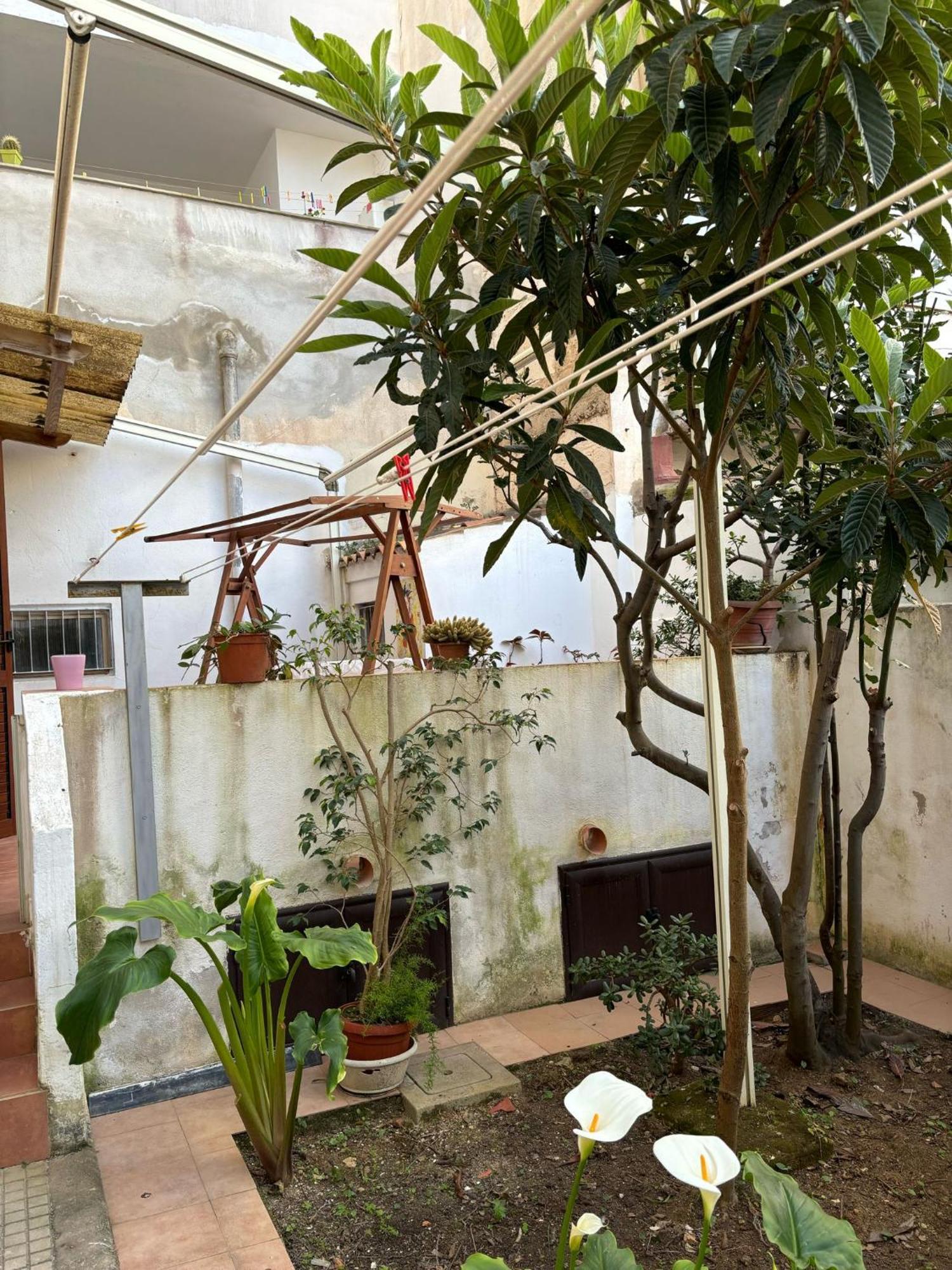 Pm 41 Via Ennio Porrino Guest House 阿尔盖罗 外观 照片