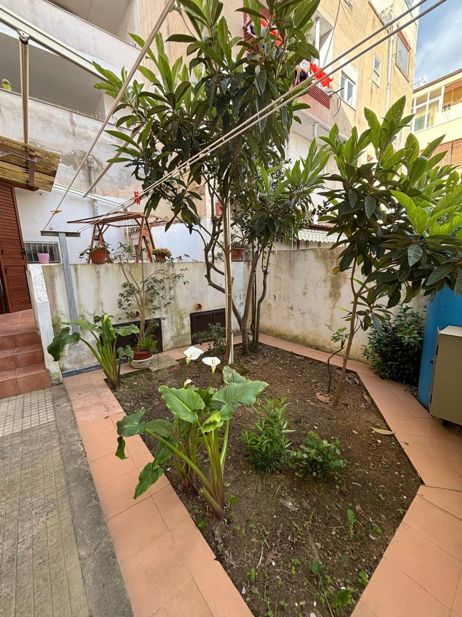 Pm 41 Via Ennio Porrino Guest House 阿尔盖罗 外观 照片